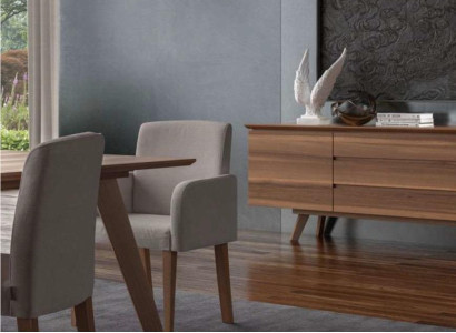Chair Upholstered furniture Single seater Kitchen chairs Dining room chair Designer Furniture